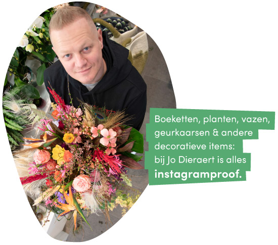 ZOTTEGEM-WINKELCENTRUM-Florist-Jo-Dieraert-Bloemen-en-kleuren